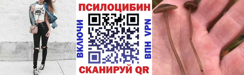 нарко площадка как зайти  Северо-Курильск  Псилоцибиновые грибы MAGIC MUSHROOMS 